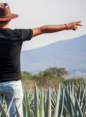 Tequila, Jalisco